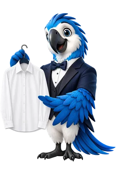 Alfie, our blue parrot ambassador, holding a pressed shirt